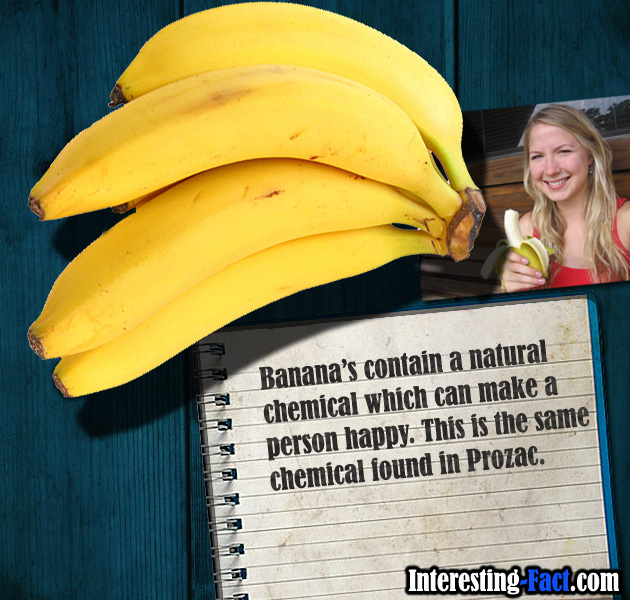 banana-fact